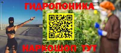 сатива Кимры